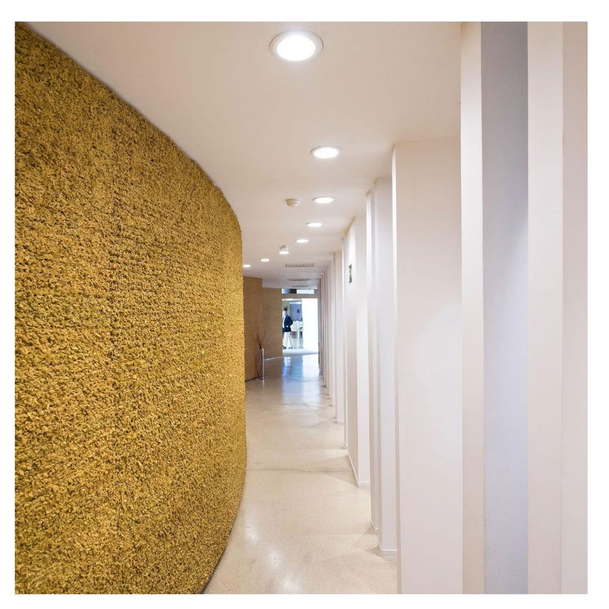 PHILIPS - Luminaria Led Plafón 18W PHILIPS Luz Cálida