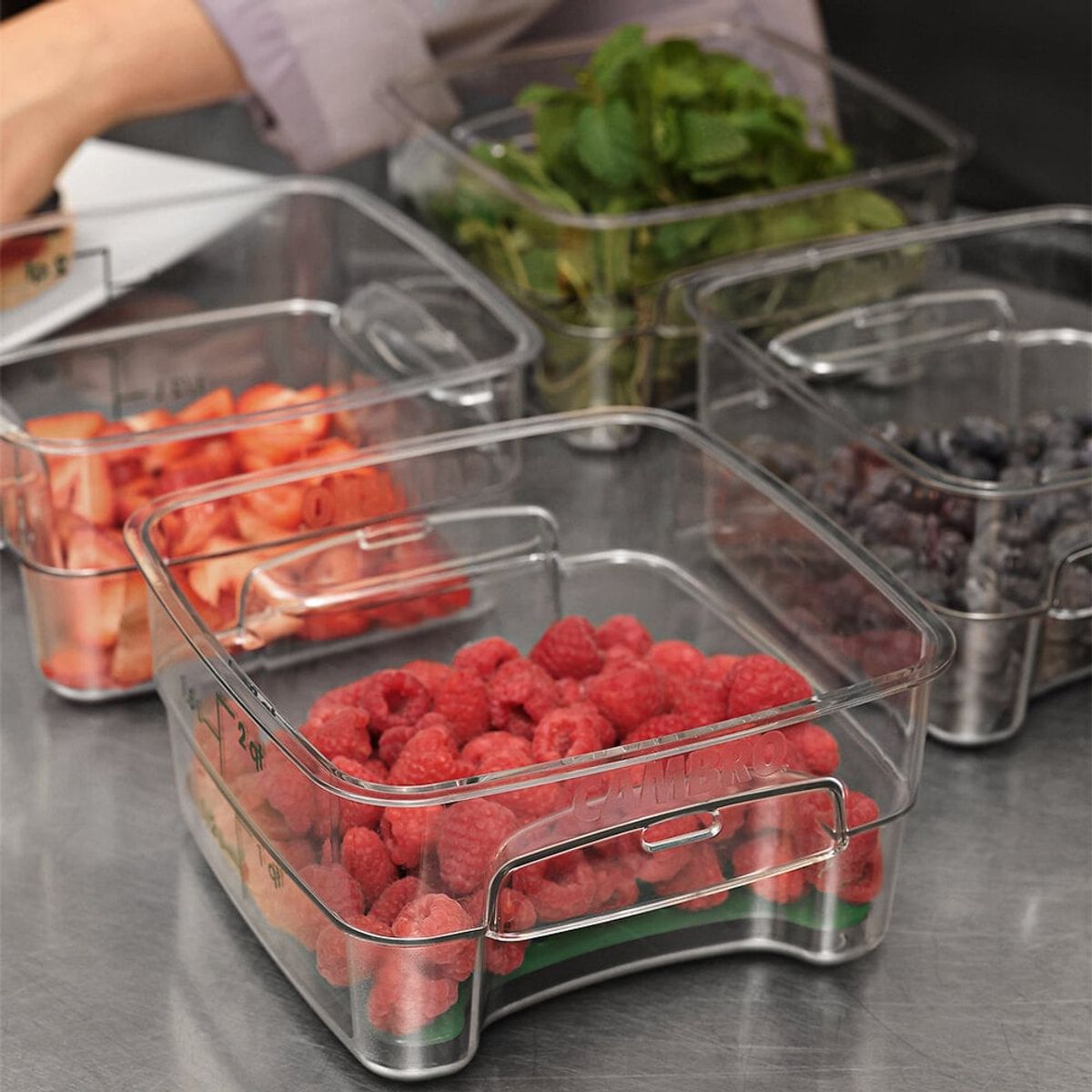 GENERICO - RECIPIENTE CAMBRO PARA ALMACENAR ALIMENTOS - 2QT FreshPro