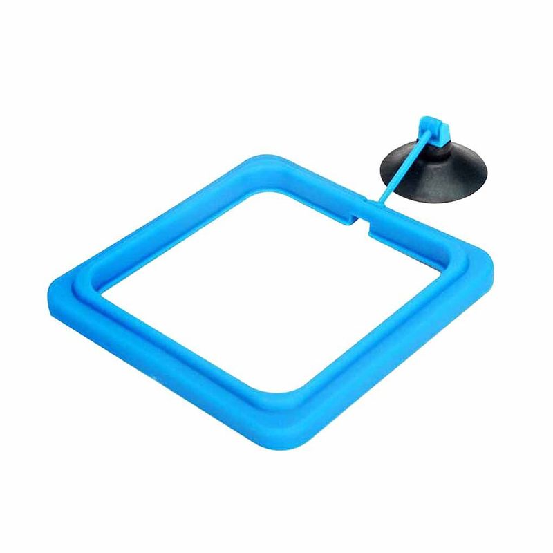 GENERICO - Anillo de alimentación cuadrado para peces