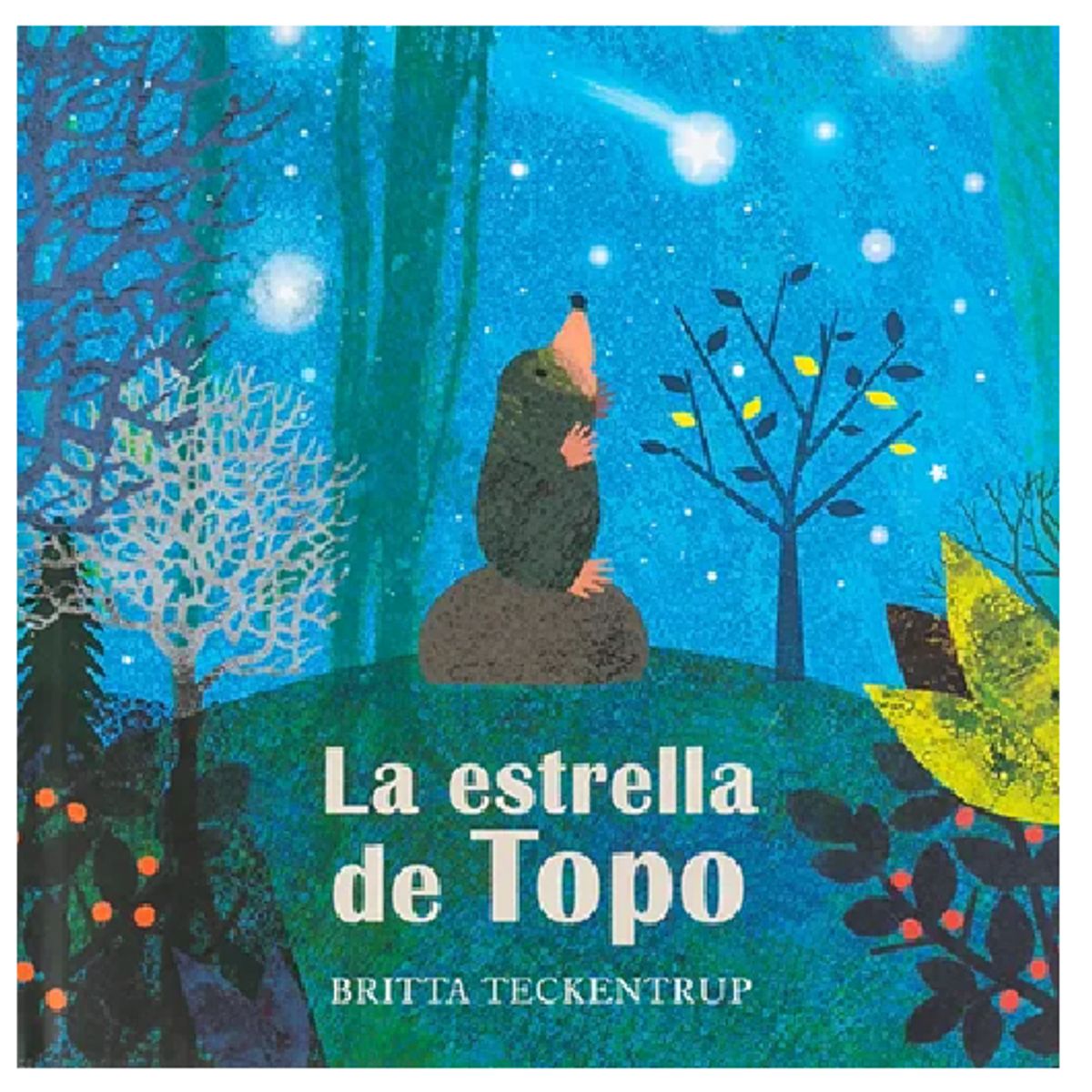 GENERICO - Libro Infantil La Estrella de Topo compartir