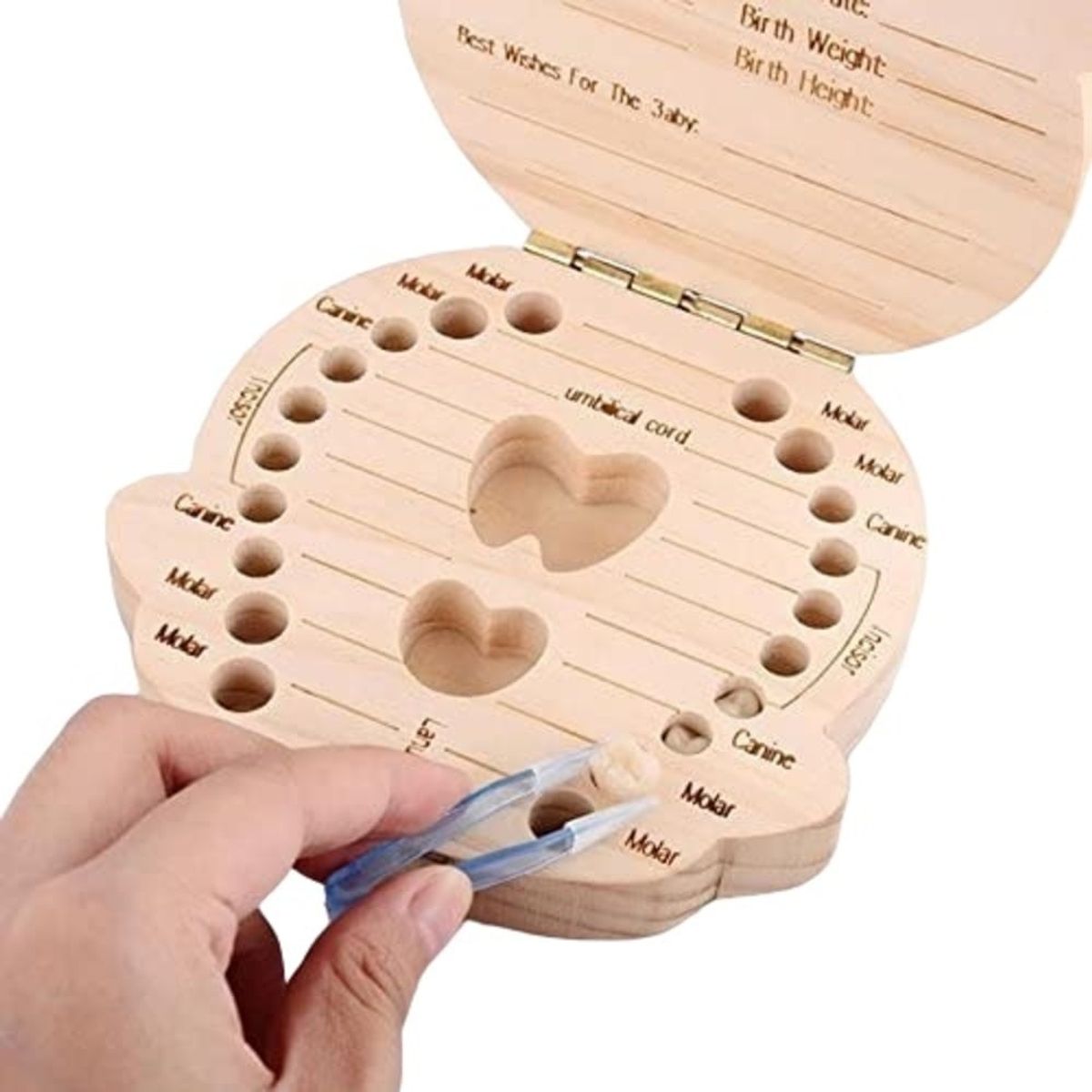 GENERICO - CAJA DE DIENTES DE LECHE PARA BEBÉ NIÑOS