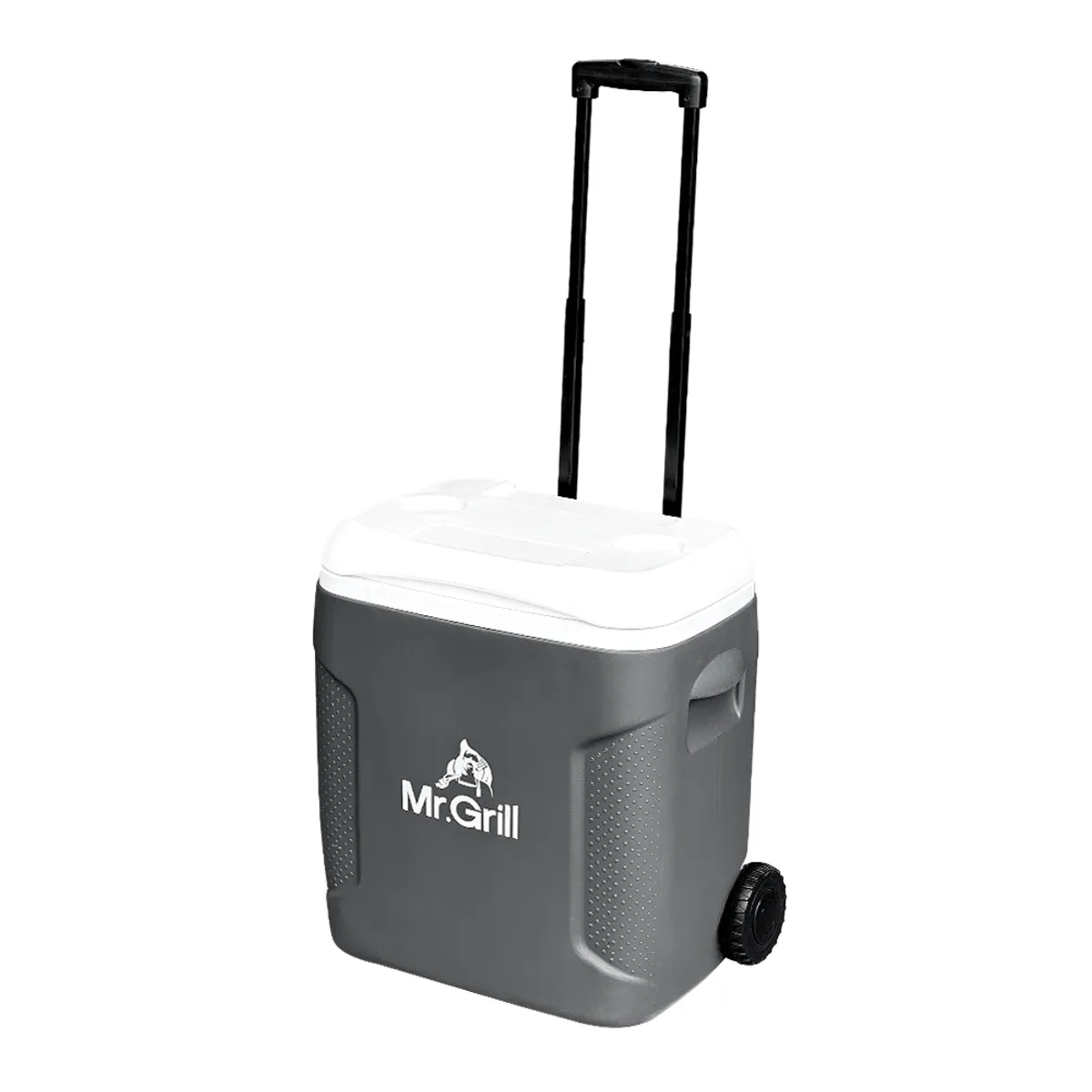 MR GRILL - Cooler Mr. Grill 54 Lt - Mr Grill