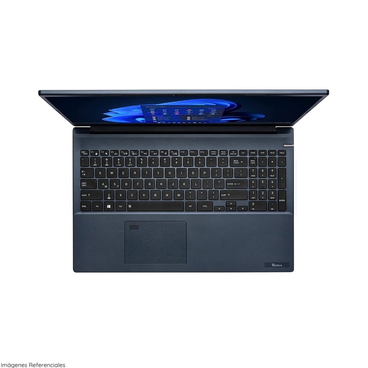 DYNABOOK - Laptop Dynabook Tecra A 50K Intel Core i7 1260P 16GB RAM 512GB SSD WIN 10 PRO PML20U0N8021