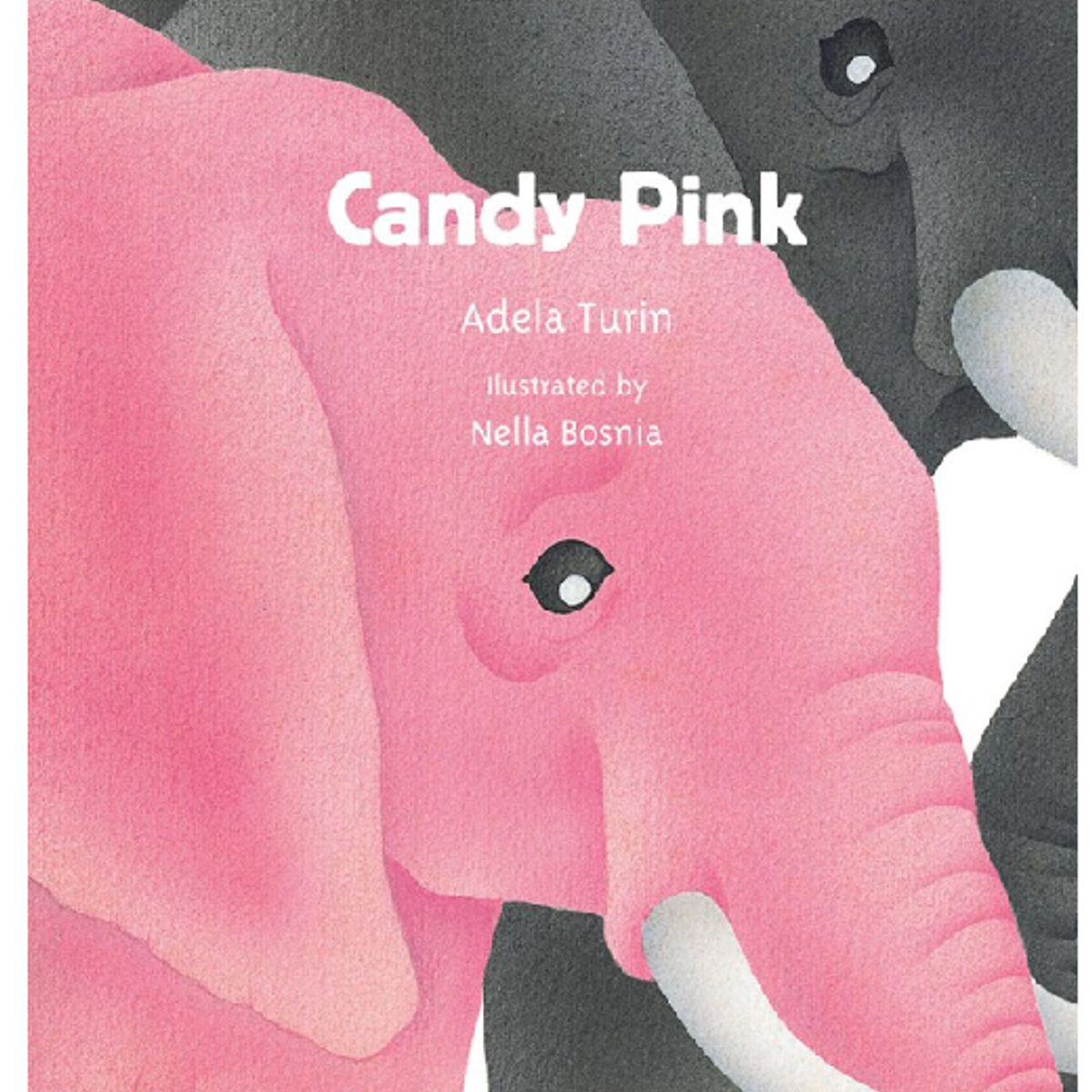 GENERICO - Libro en ingles Candy Pink