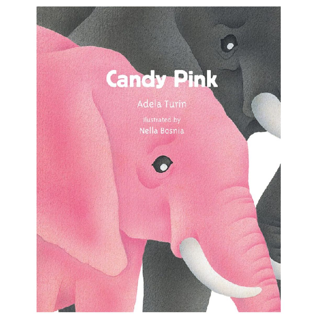 GENERICO - Libro en ingles Candy Pink