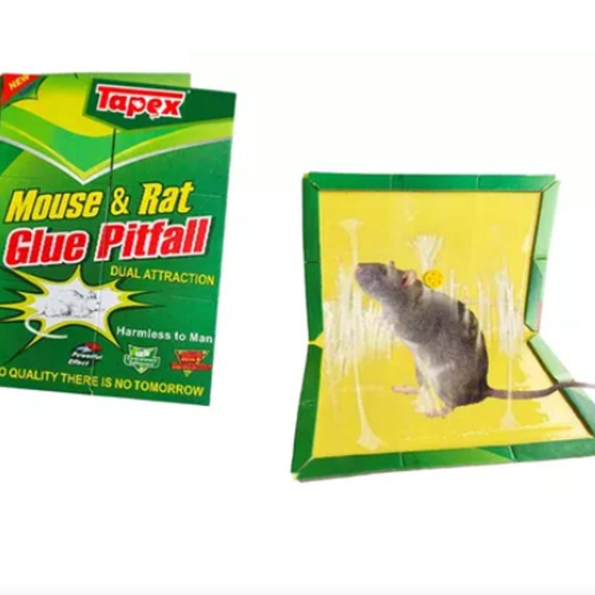 MORITA BAG STORE - TRAMPA PARA ROEDORES SUPER GLUE