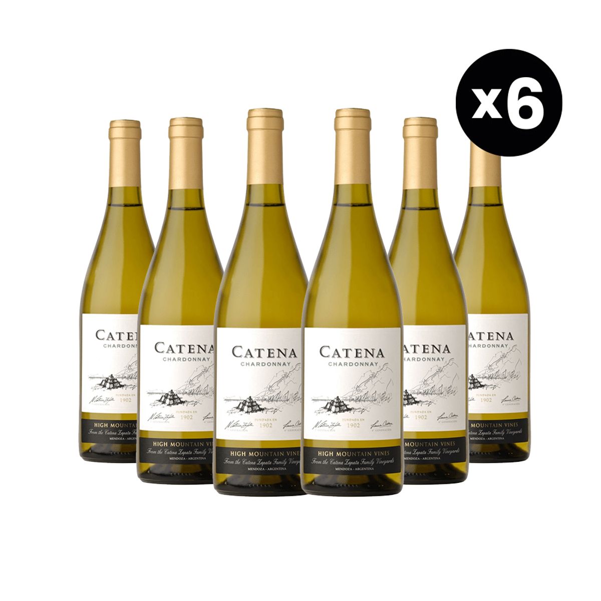 CATENA ZAPATA - Pack x6 Vino CATENA Chardonnay Botella 750ml