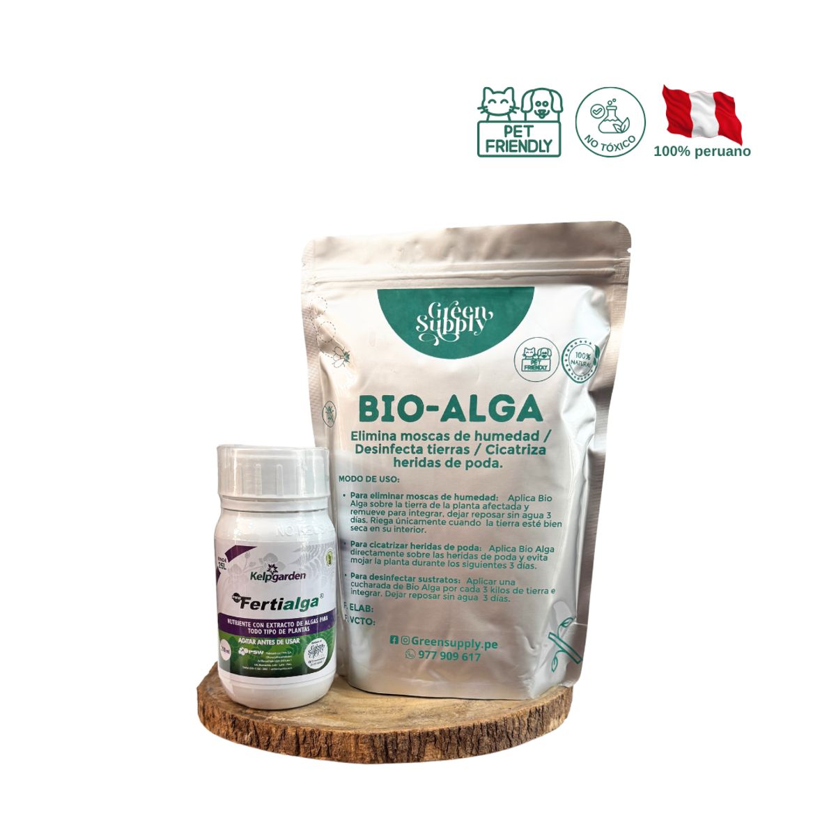 GREEN SUPPLY - Pack Suculentas y Cactus