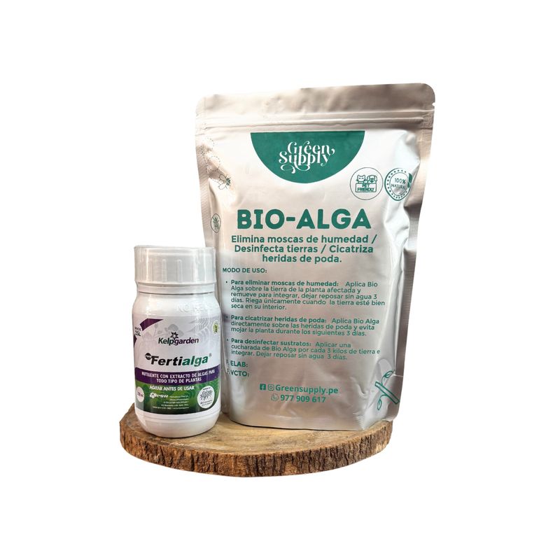 GREEN SUPPLY - Pack Suculentas y Cactus