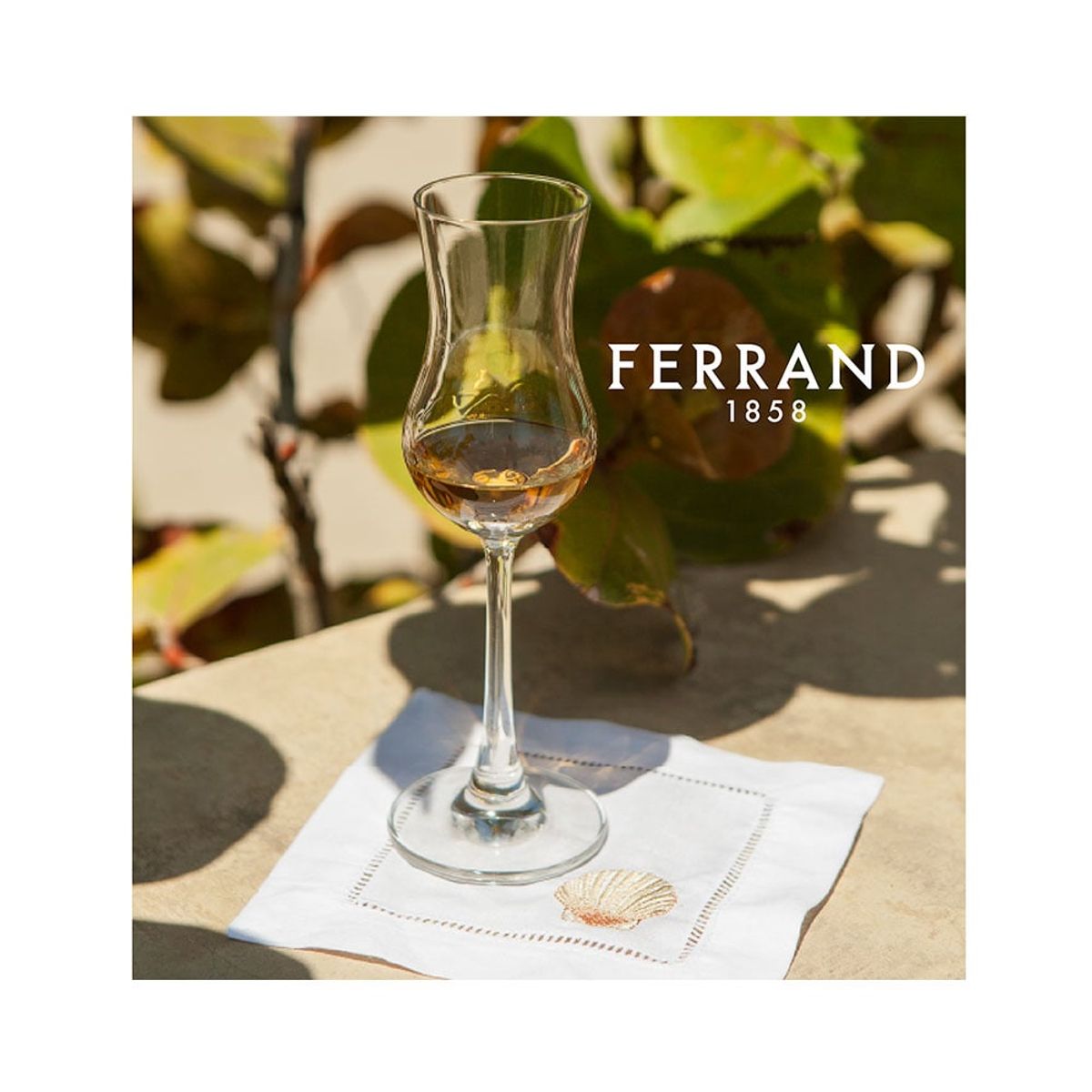 FERRAND - Set Copas Ferrand X6 Pzas Pisco CF0610014