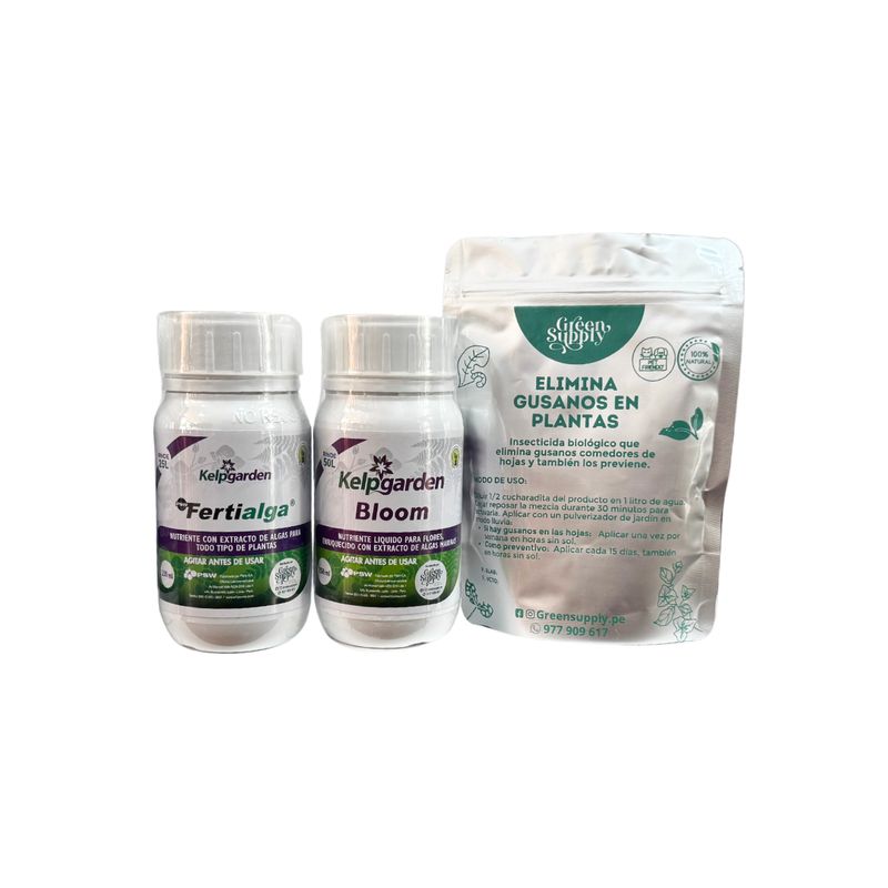 GREEN SUPPLY - Pack Buganvilias