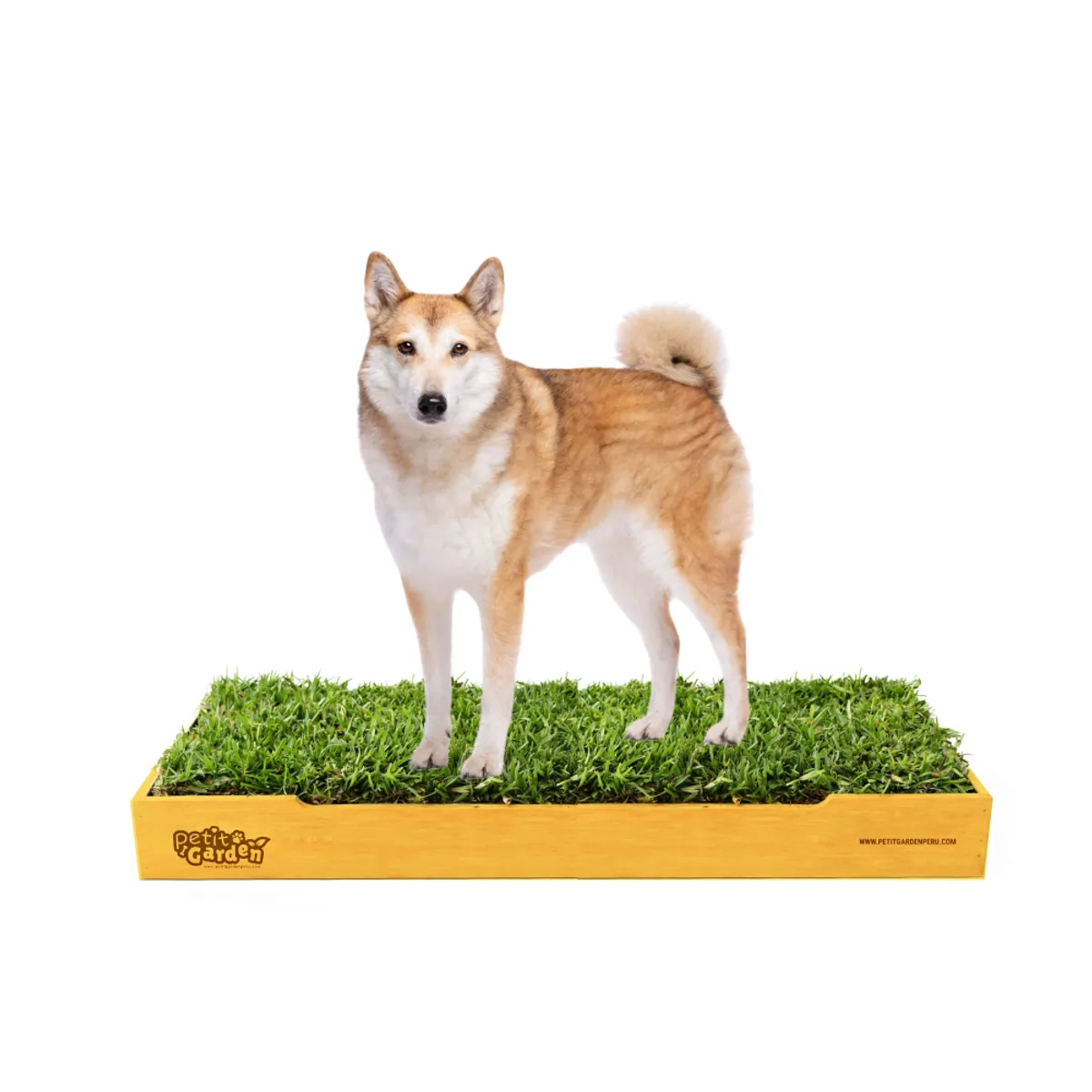 GENERICO - Sanitario de Pasto Natural para Mascotas - Talla L Premium