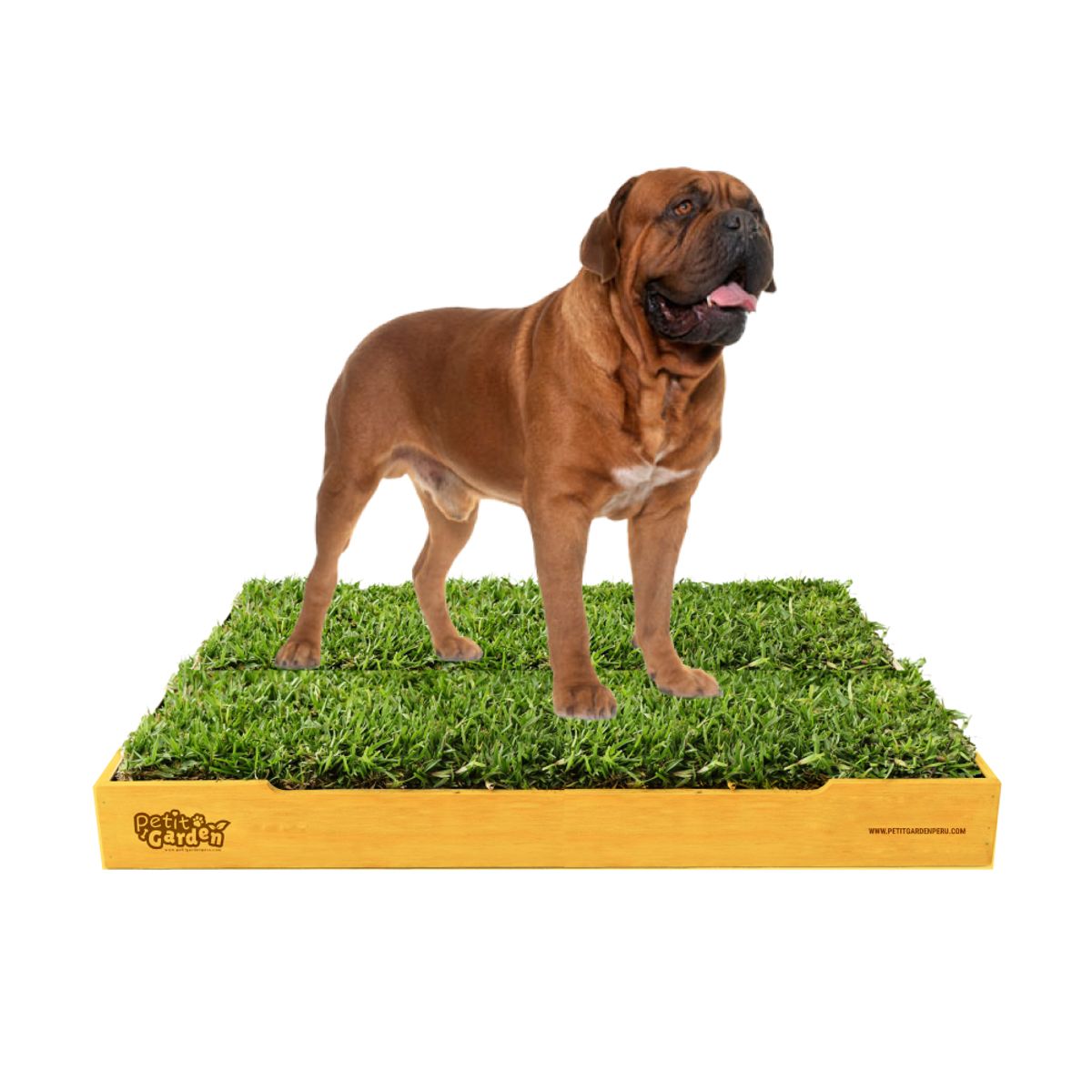 GENERICO - Sanitario de Pasto Natural para Mascotas - Talla XL Premium