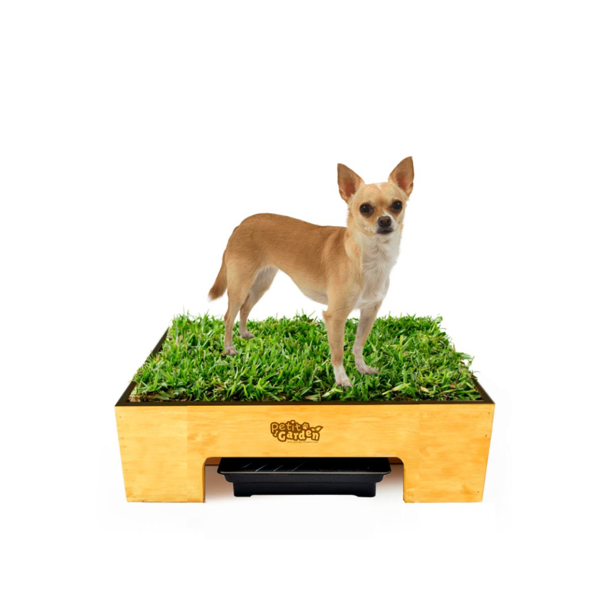 GENERICO - Sanitario de Pasto Natural con Drenaje - Talla S