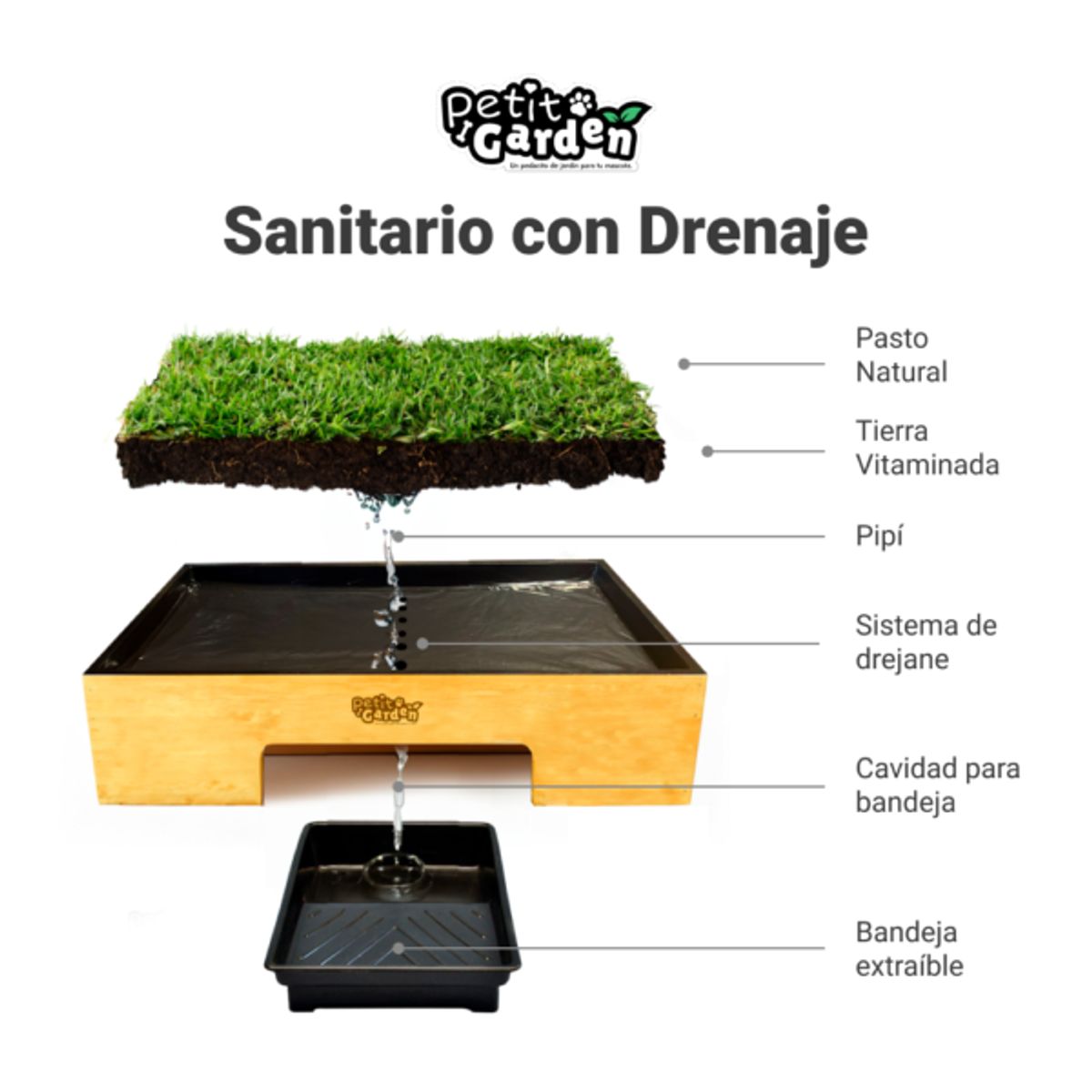 GENERICO - Sanitario de Pasto Natural con Drenaje - Talla S