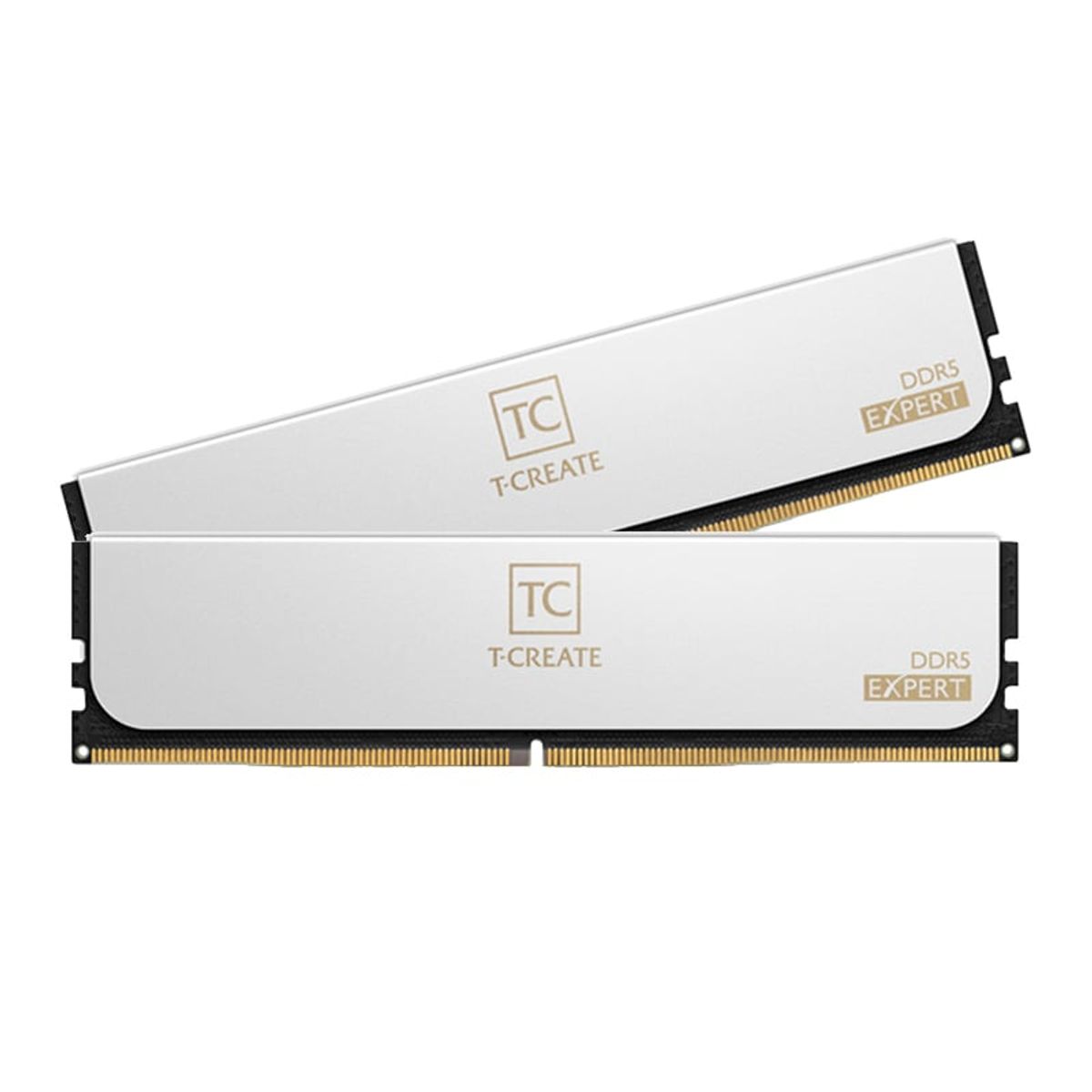 TEAMGROUP - Memoria TEAMGROUP T-CREATE EXPERT DDR5 32GB 2x16GB DDR5-6400MHz