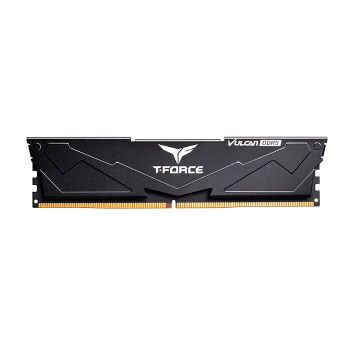 TEAMGROUP - Memoria TEAMGROUP T-FORCE VULCAN DDR5 32GB 1 x 32GB