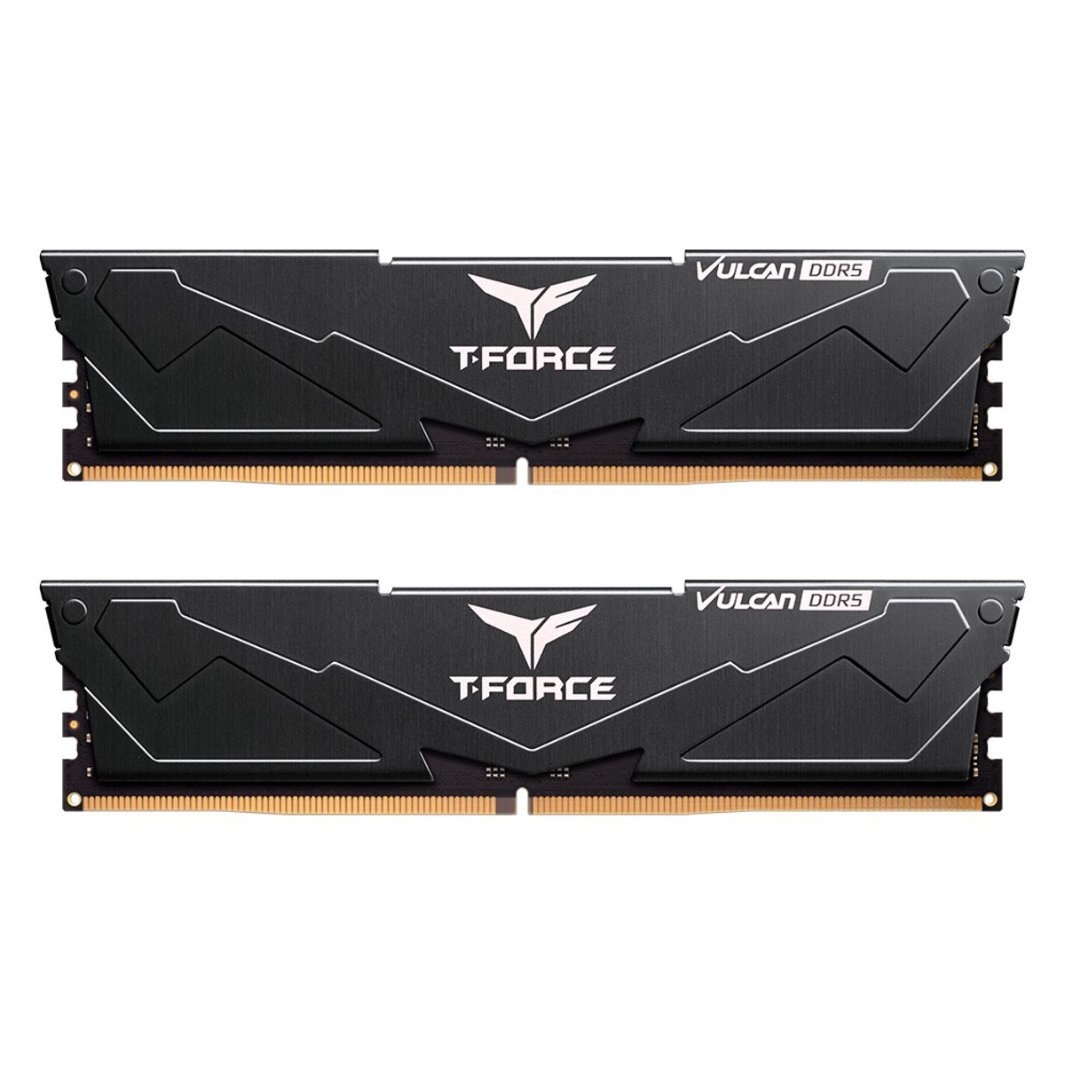 TEAMGROUP - Memoria TEAMGROUP T-FORCE VULCAN DDR5 32GB 1 x 32GB