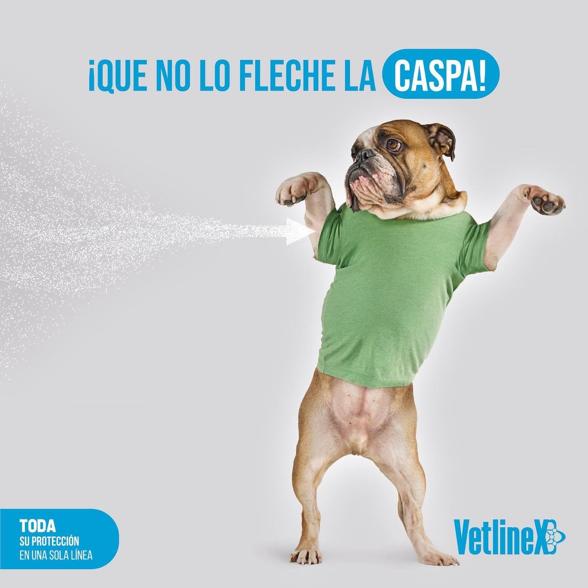VETLINEX - SHAMPOO MEDICADO PARA PERROS VETLINEX KETOCONAZOL 300 ML