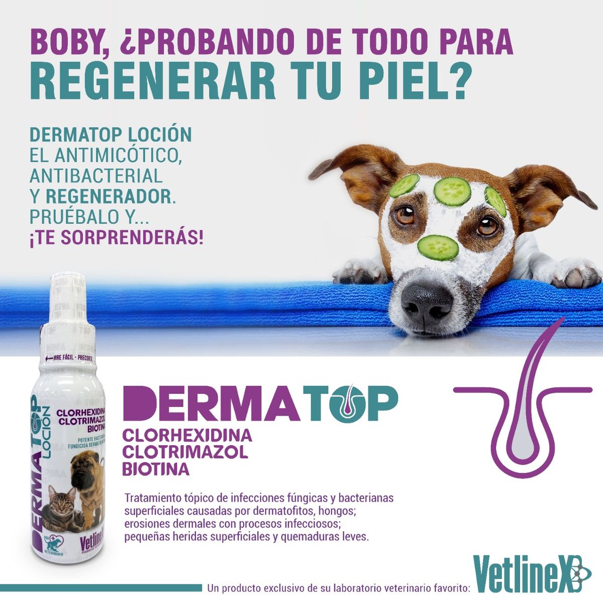 VETLINEX - DERMA TOP LOCIÓN DERMATOLOGIGA PARA MASCOTAS VETLINEX