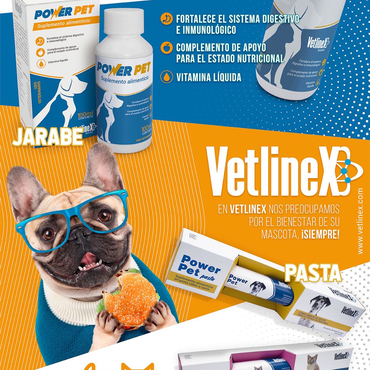 VETLINEX - POWER PET SUPLEMENTO ALIMENTICIO 100ml