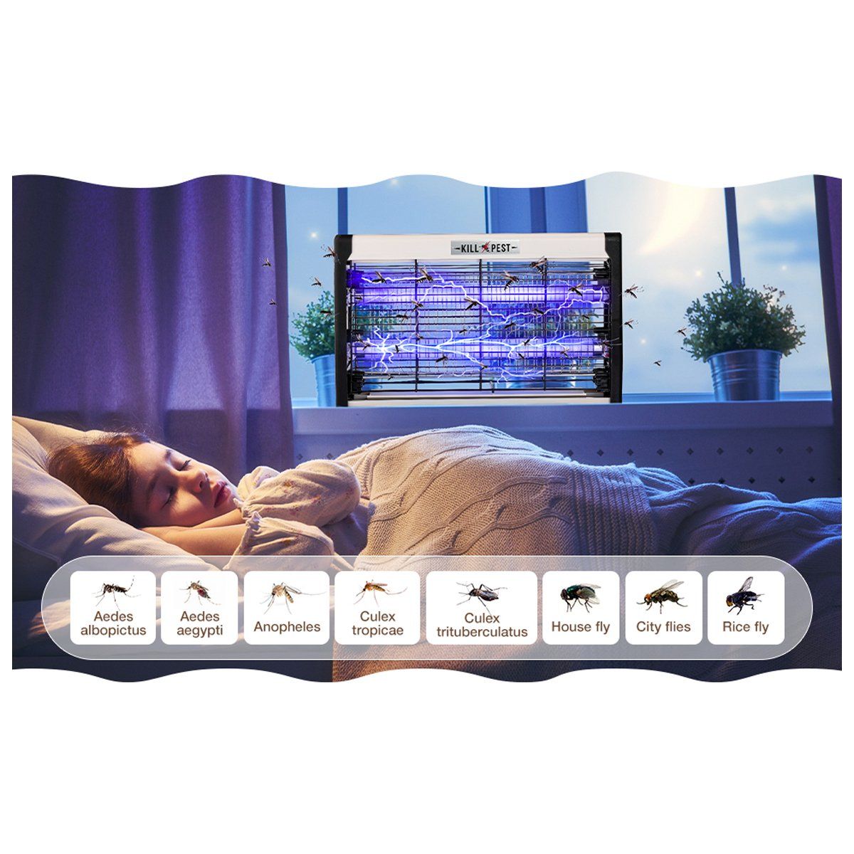 GENERICO - Lámpara Antimosquitos Eléctrico Mata Insectos Zancudos Eléctrico 6W UV