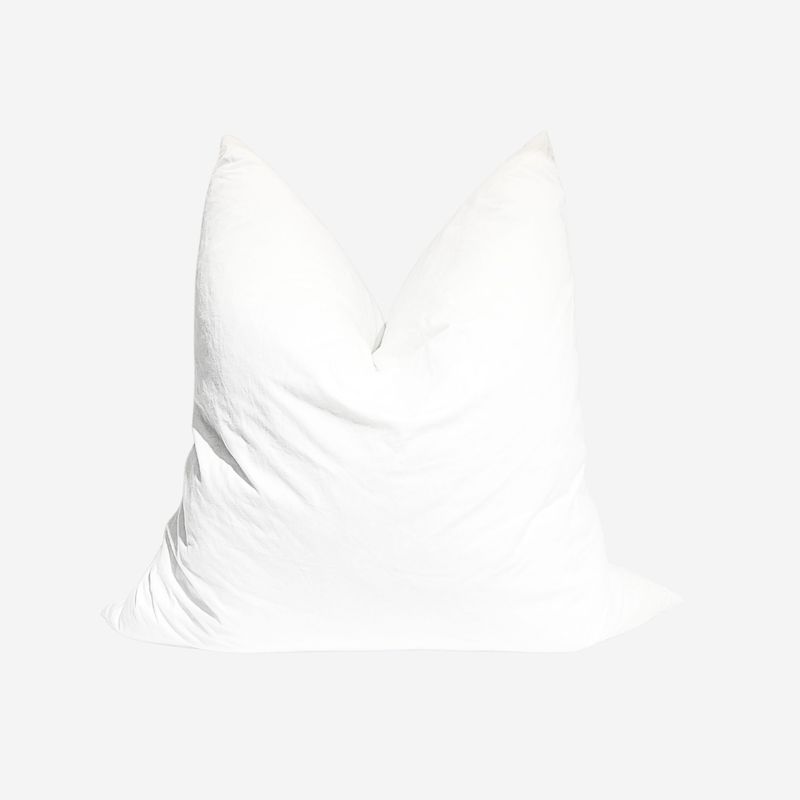 GENERICO - RELLENO DE PLUMAS DE GANSO DE 60 x 60 cm