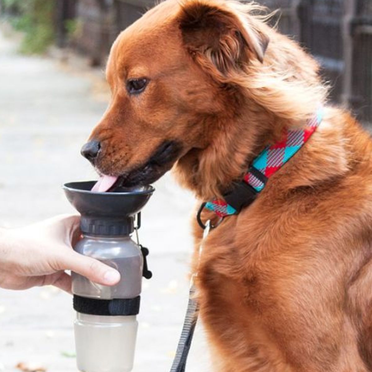 GENERICO - Bebedero Portátil para mascotas - Aqua Dog