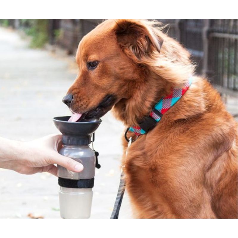 GENERICO - Bebedero Portátil para mascotas - Aqua Dog
