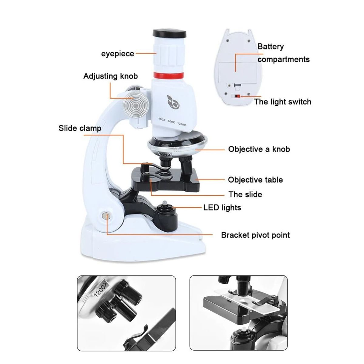 GENERICO - Microscopio Educativo Para Niños Ampliación 100x a 1200x