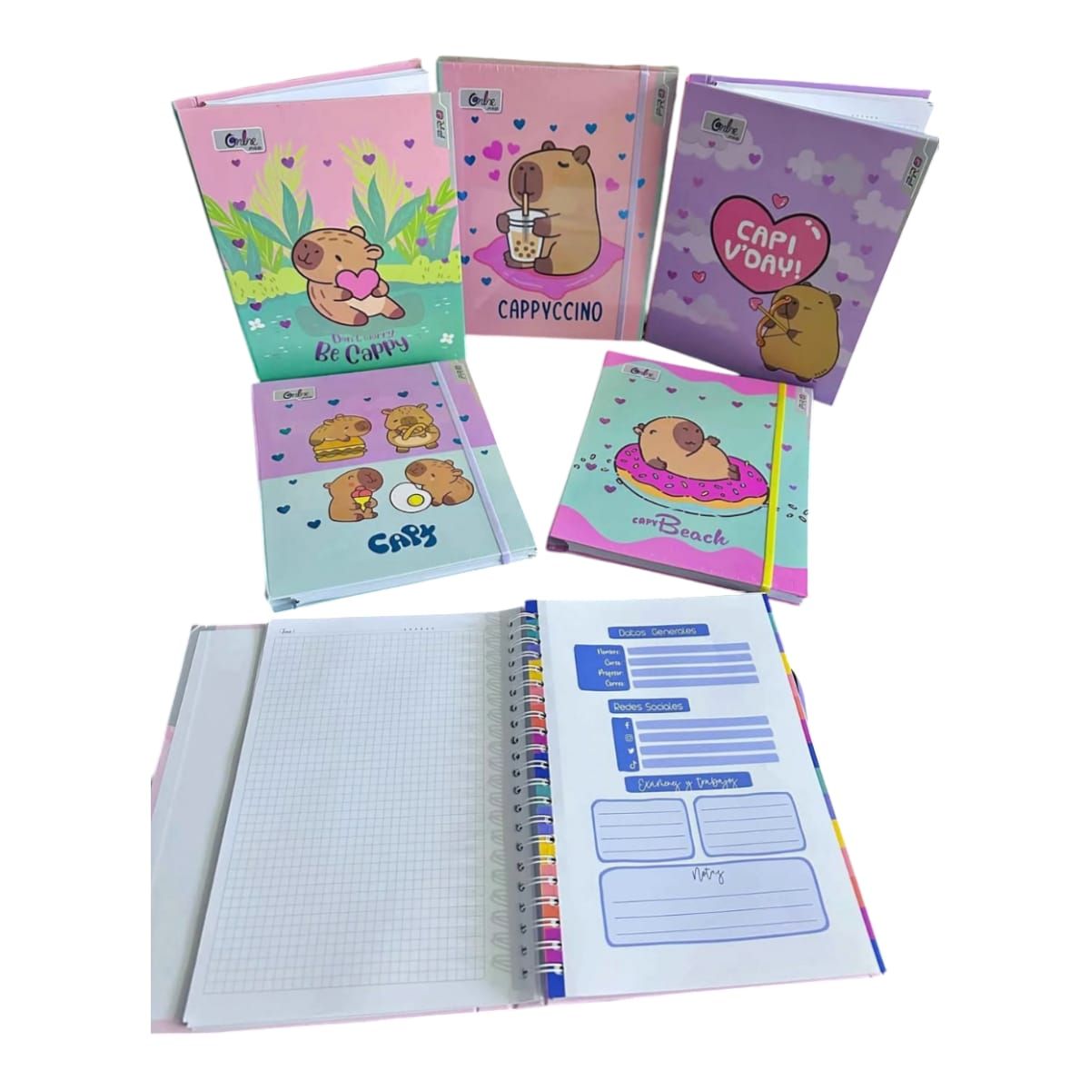 GENERICO - CUADERNO CAPIBARA  A4 ANILLADO PACK X3 UND