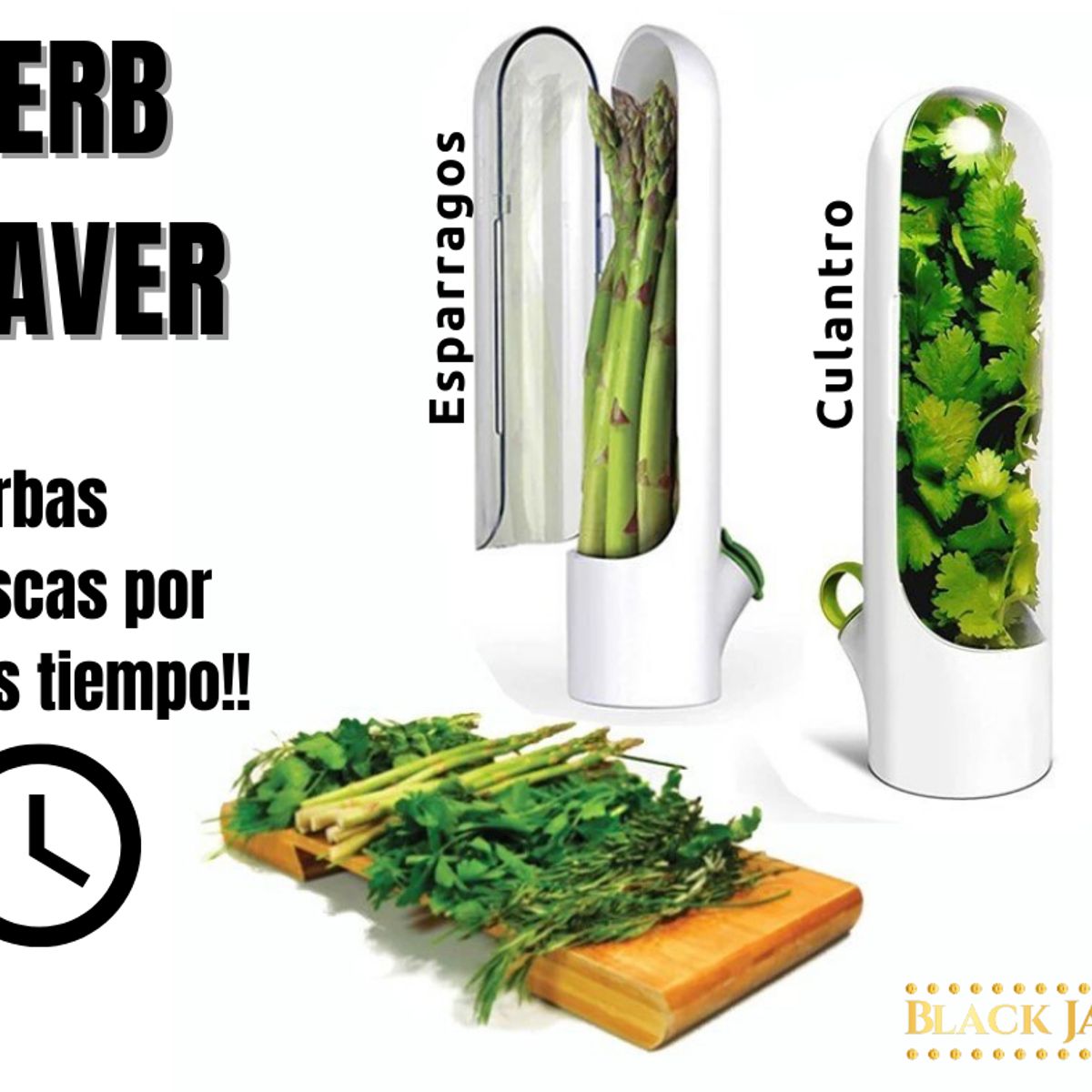 GENERICO - Pack x3 Conservador de hierbas verduras Herb Saver