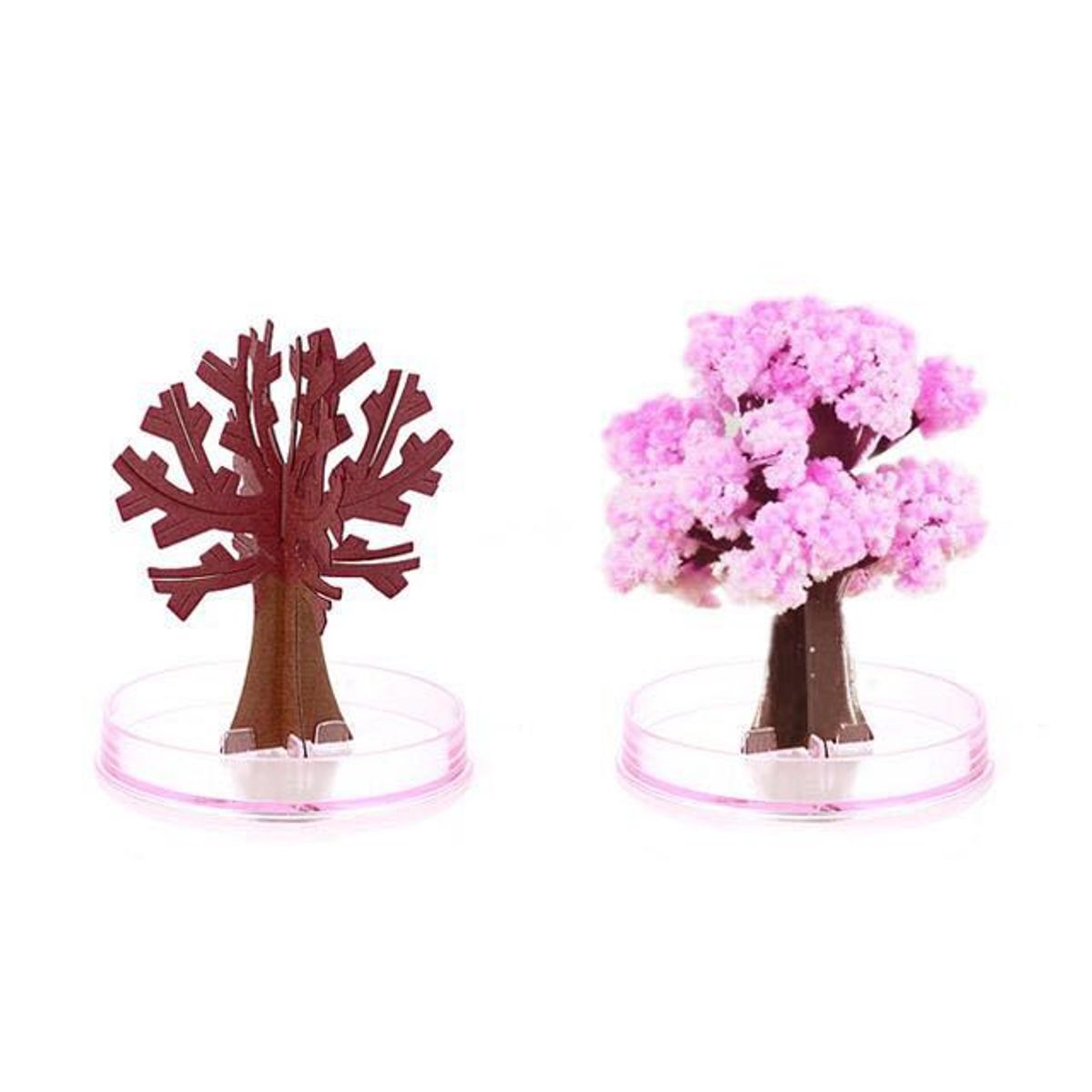 KAST PE - Árbol Mágico Sakura Artificial – Crece en 24 Horas