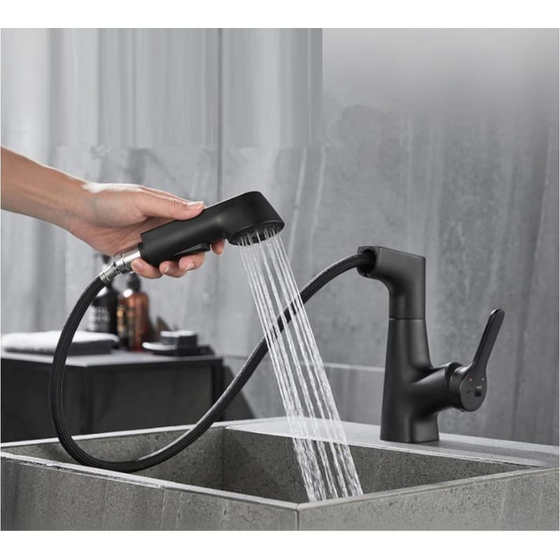 GENERICO - Grifo de Cocina o Baño Negro Mate con Ducha Extraíble, Monomando 360