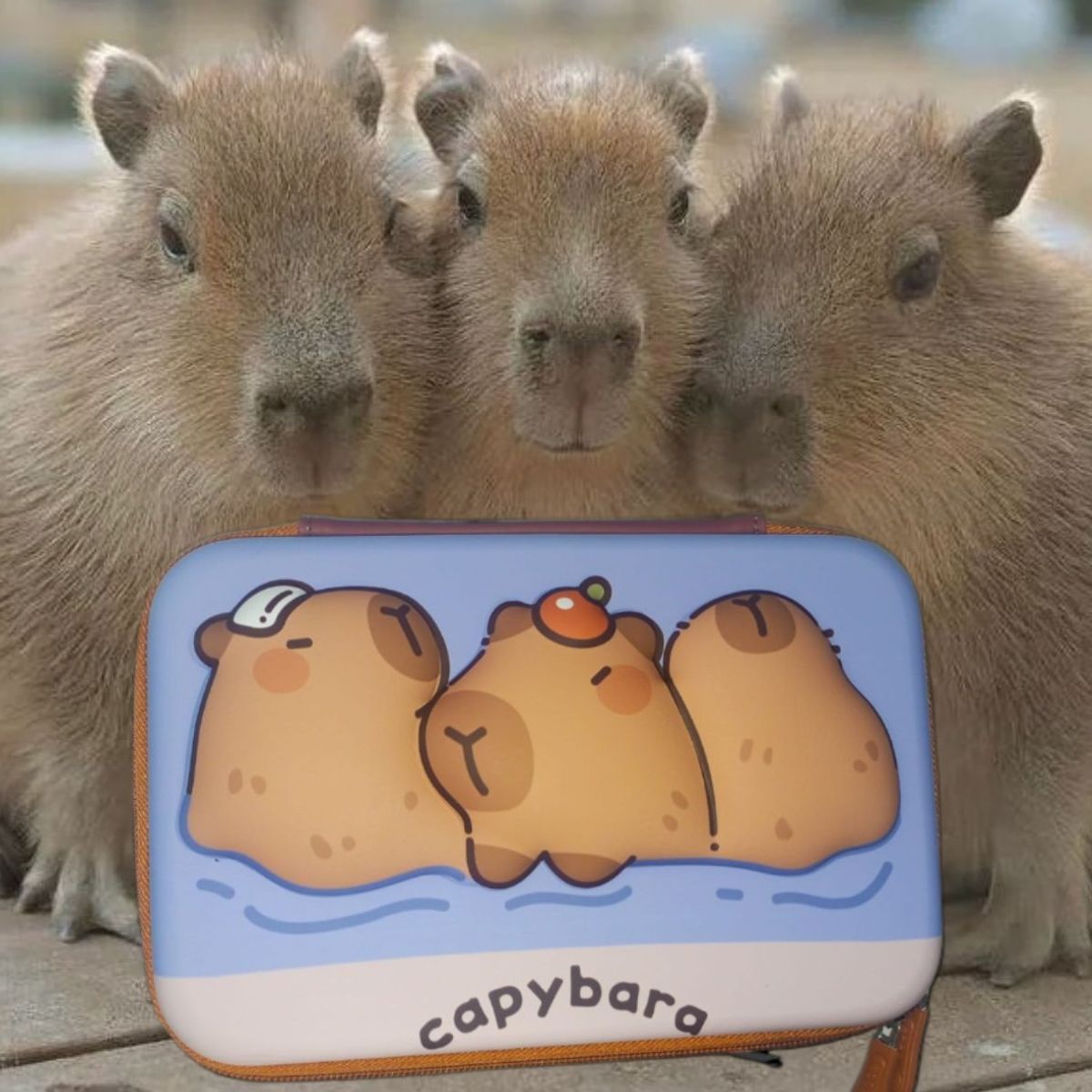 GENERICO - CARTUCHERA GRANDE 3D ESTUCHE ESCOLAR PARA NIÑOS KAWAII