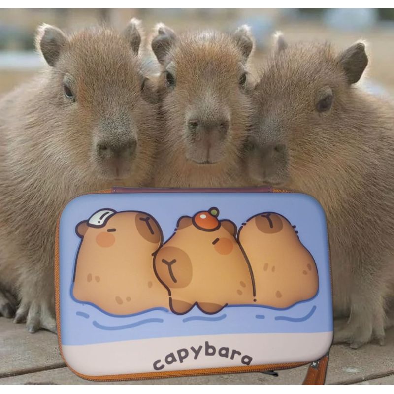 GENERICO - CARTUCHERA GRANDE 3D ESTUCHE ESCOLAR PARA NIÑOS KAWAII