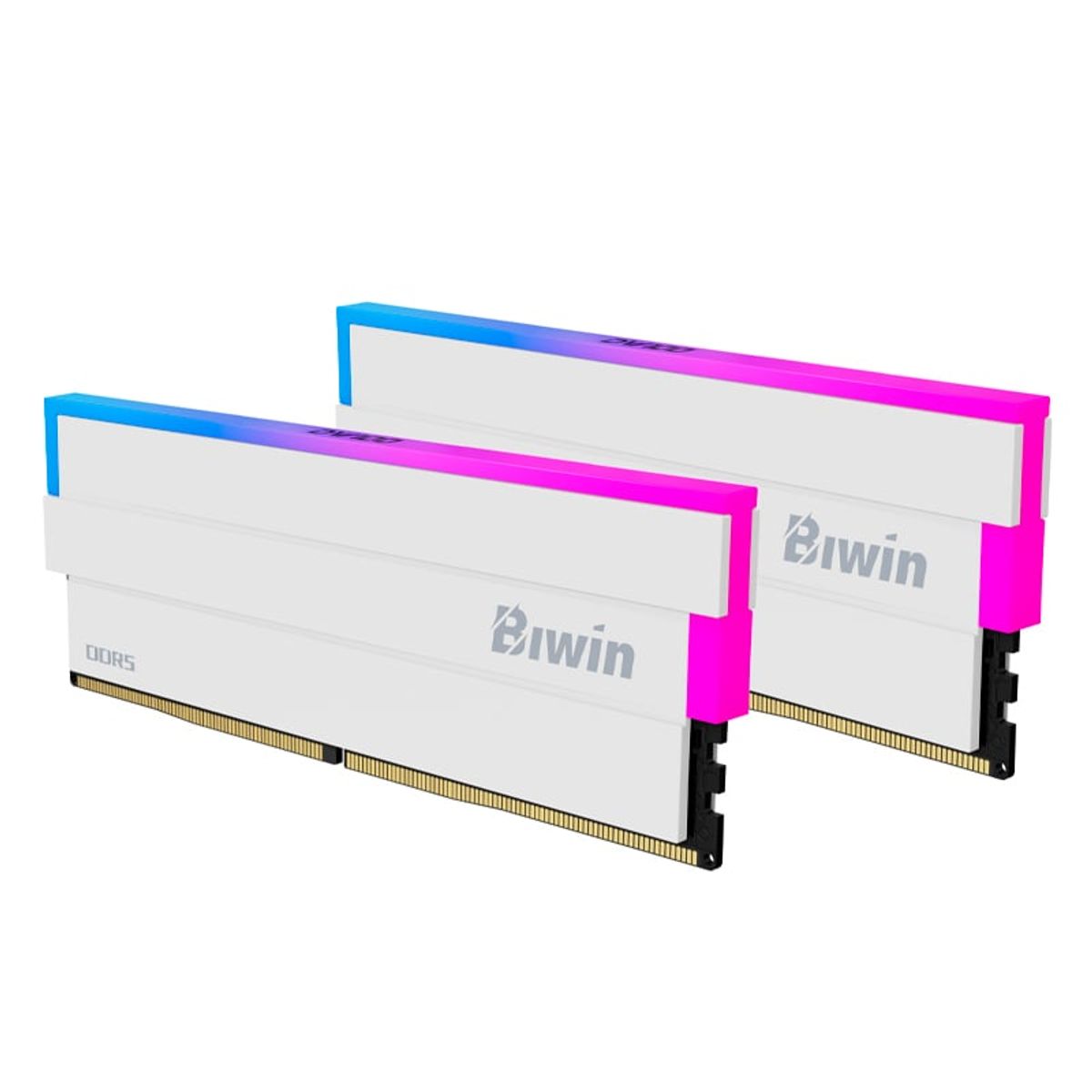 GENERICO - Memoria UDIMM Biwin Black Opal DW100 RGB 32GB 2x16GB DDR5-6000