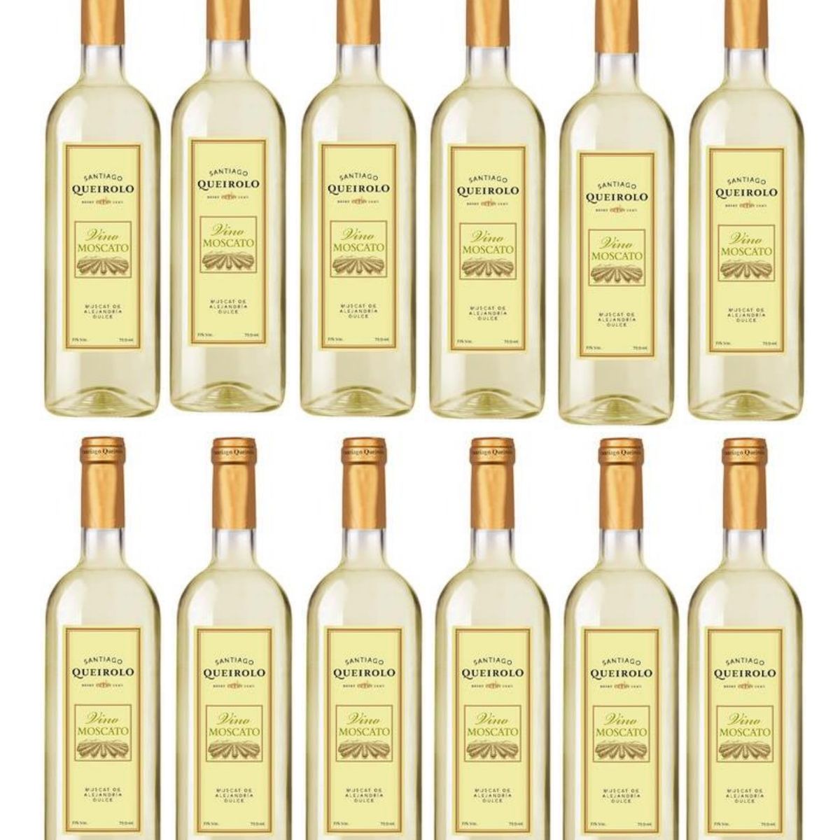 SANTIAGO - Vino Blanco SANTIAGO QUEIROLO Moscato 750ml - 12 UND