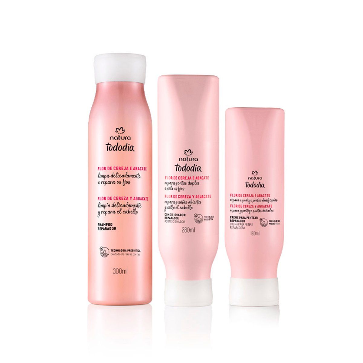 NATURA - KIT Tododia Reparación Completa Shampoo con Acc y CPP