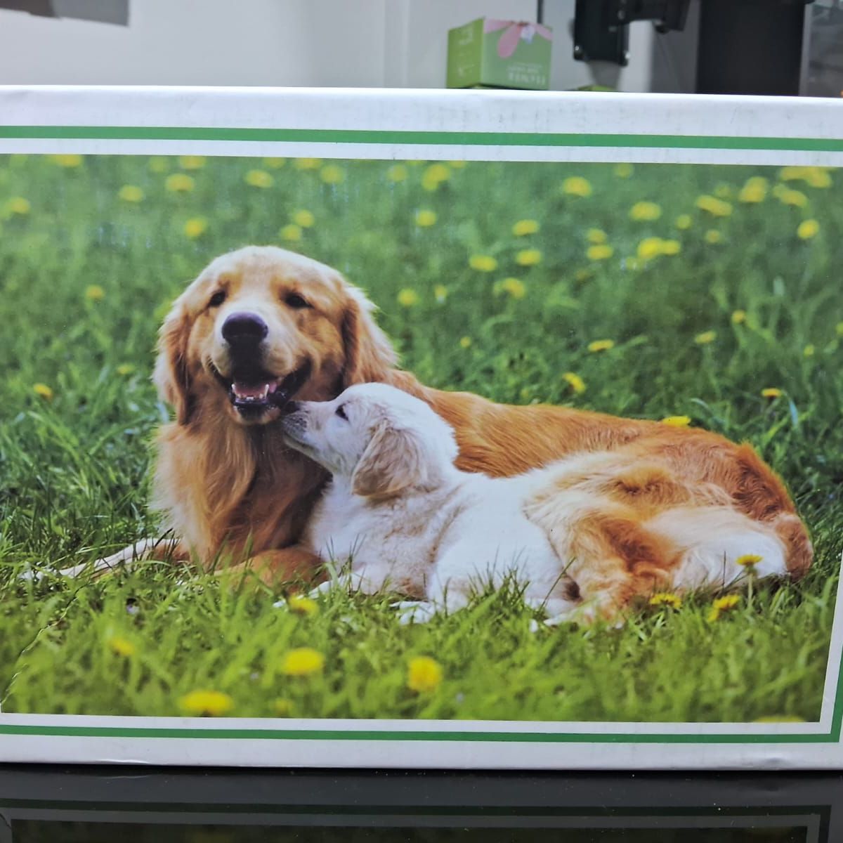 GENERICO - ROMPECABEZAS DE 1000 PIEZAS