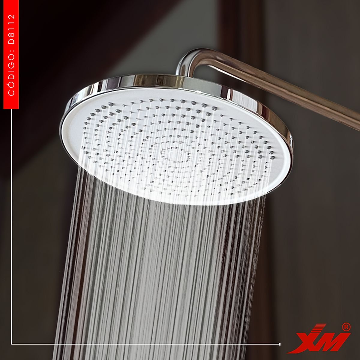 XM - Cabeza Ducha Española 10 en Abs Cromado