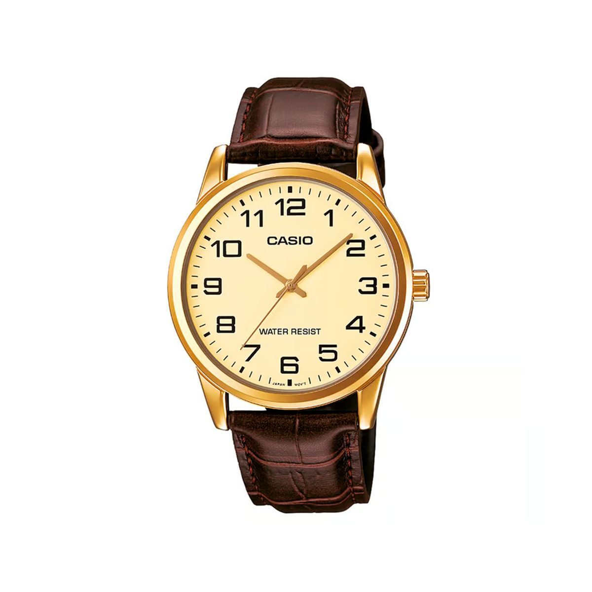 CASIO - RELOJ ANALOGICO MUJER LTP-V002GL-9BUDF CASIO