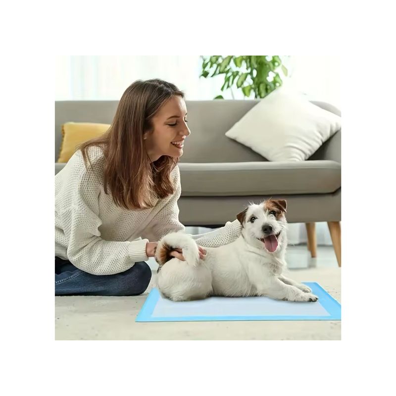 GENERICO - PAÑAL DESCARTABLE DE ENTRENAMIENTO PARA MASCOTA TALLA L