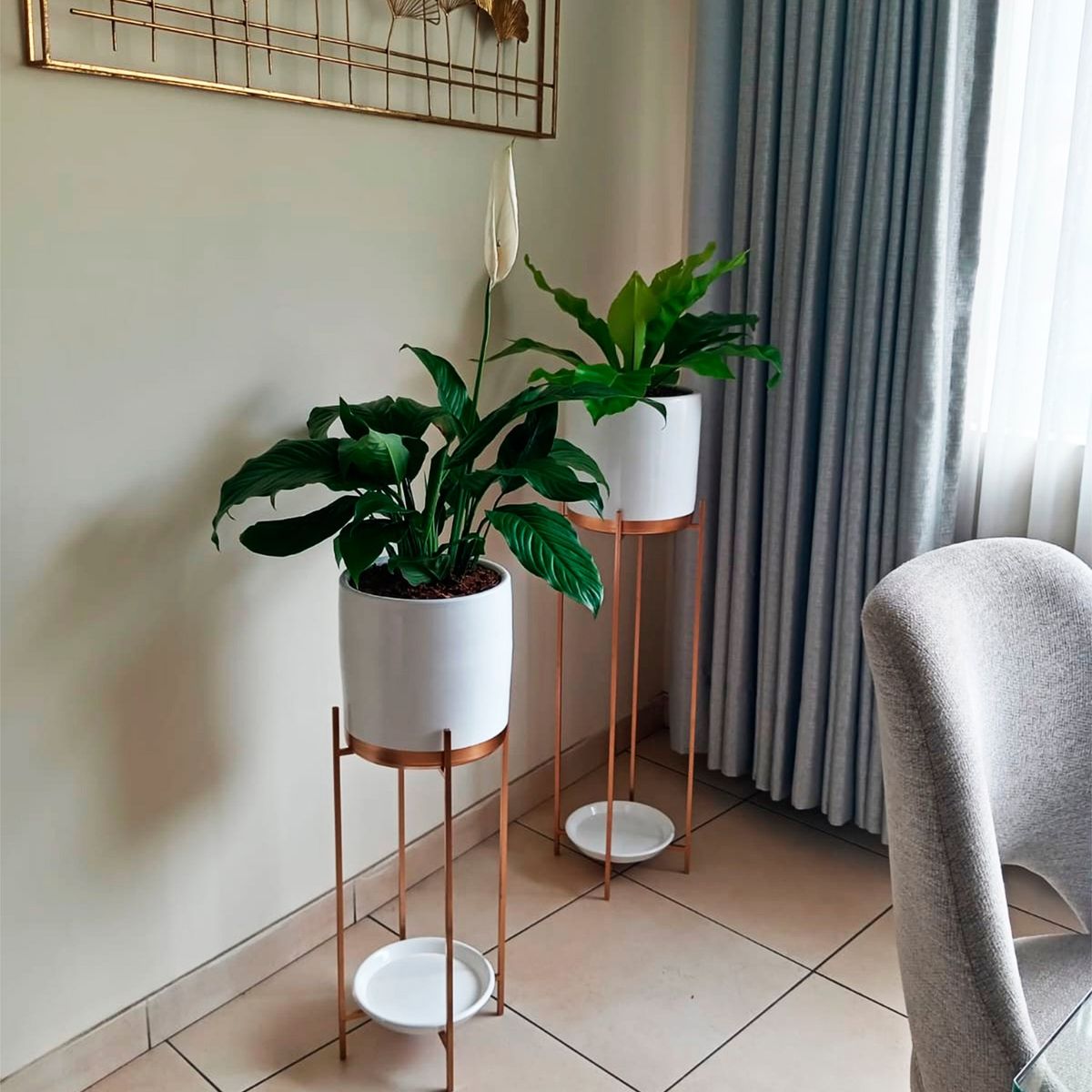 GENERICO - COMBO DE HELECHO ALEMAN Y ESPATIFILIO EN MACETA Y PEDESTAL DE FIERRO