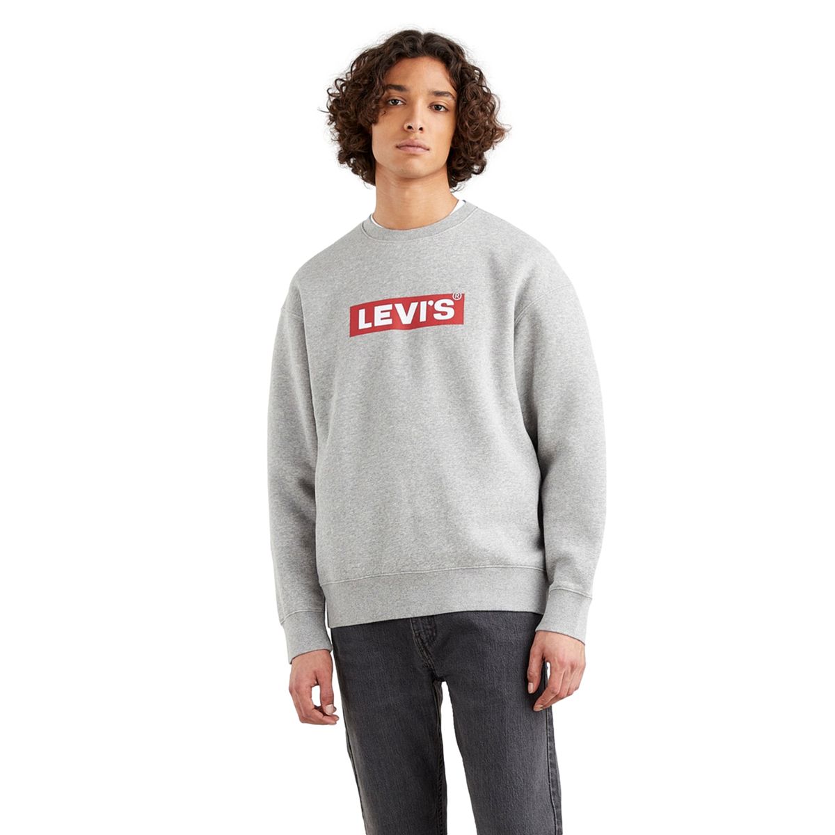 LEVIS - Polerón Hombre Relaxed Graphic Gris Levis