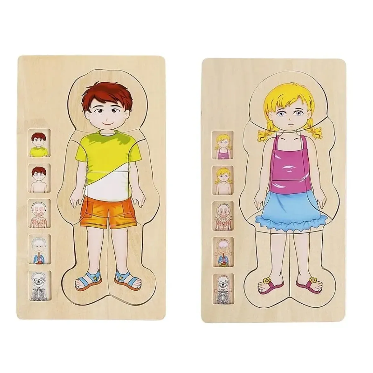 ONSHINE - Rompecabezas didácticas del cuerpo humano en capas