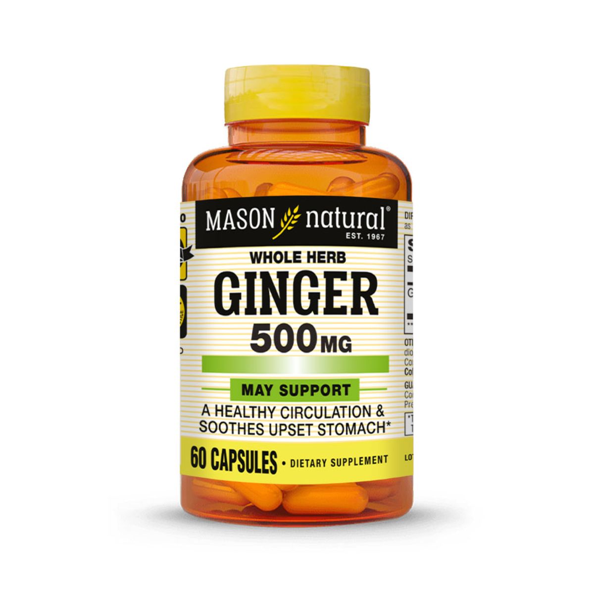 MASON NATURAL - Ginger (Kion) 500 MG - Mason Natural - 60 Cápsulas