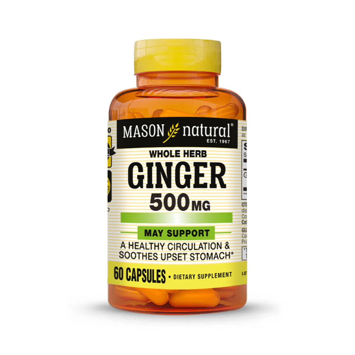 MASON NATURAL - Ginger (Kion) 500 MG - Mason Natural - 60 Cápsulas