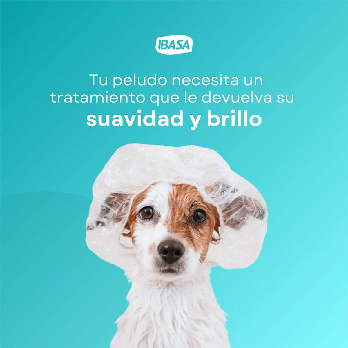 GENERICO - Mascarilla Multiproteínas Ibasa Perros y Gatos 230ml