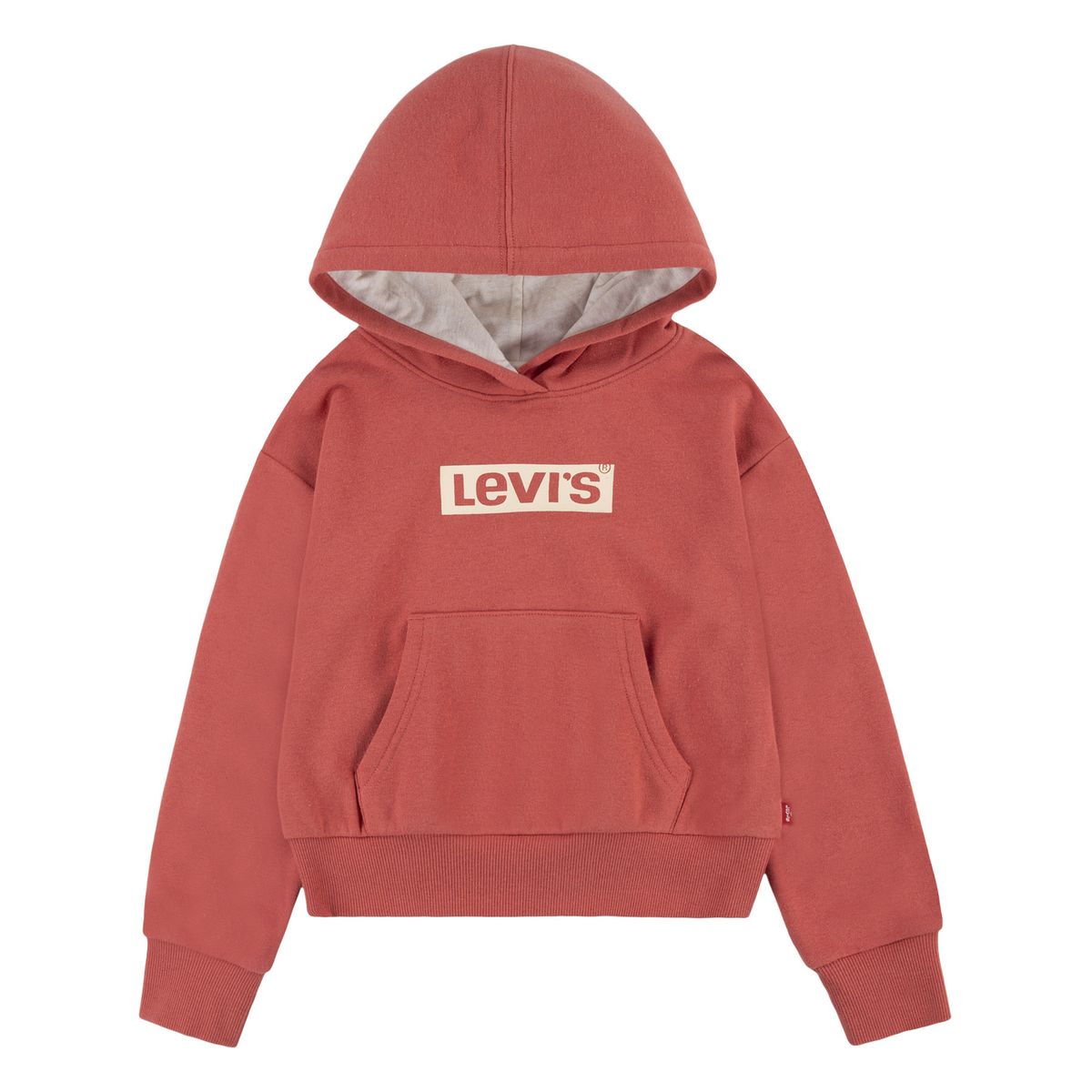 LEVIS - Polera para Niña Meet & Greet Hoodie Levis